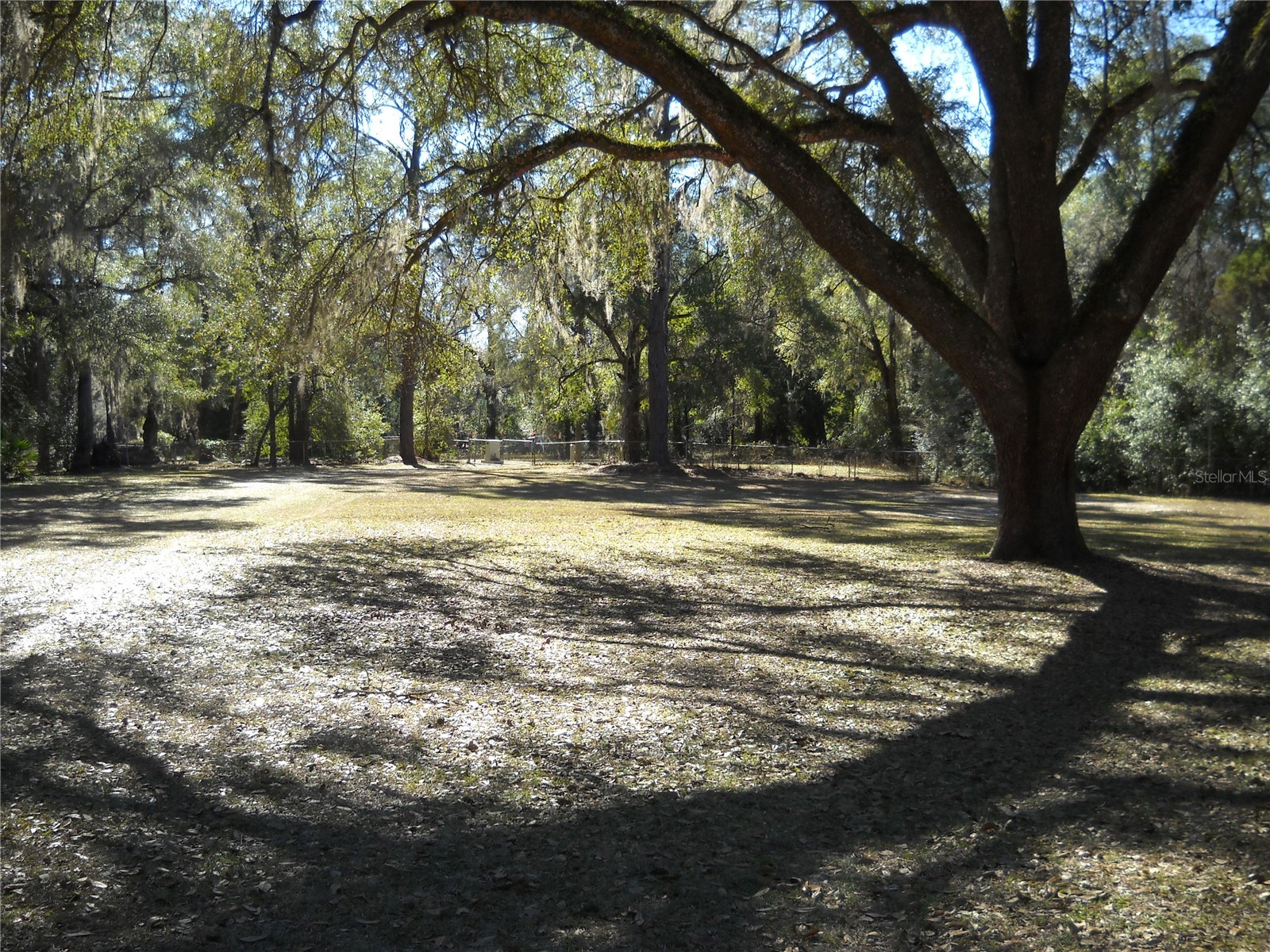 4881 NW 69th Street Ocala FL 34482 OM719469 image4