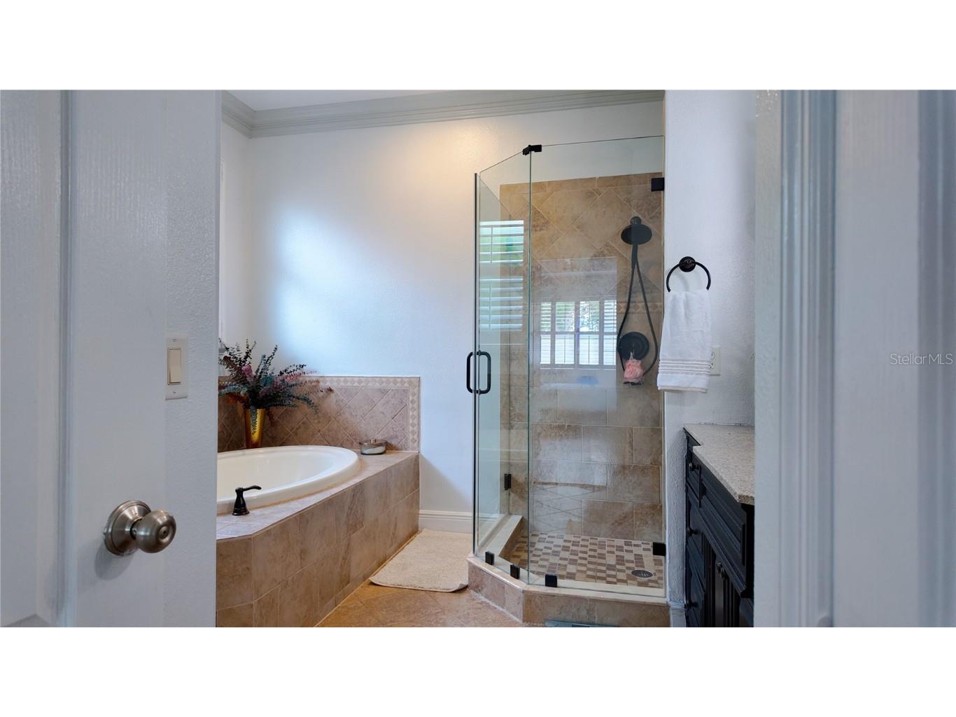 4882 Larkenheath Drive Spring Hill FL 34609 TB8385341 image19