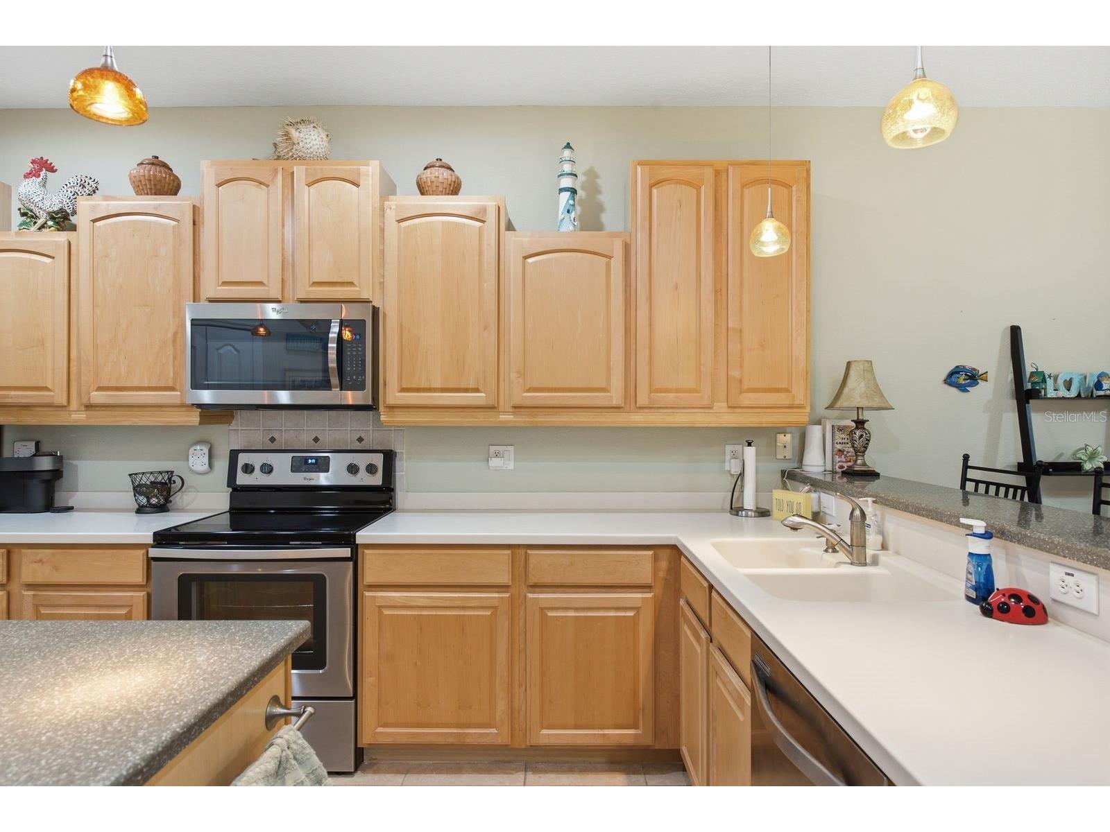 4882 W Breeze Circle Palm Harbor FL 34683 TB8520481 image22