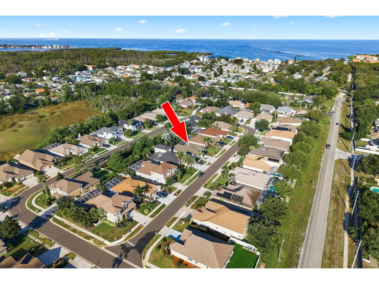 4882 W Breeze Circle Palm Harbor FL 34683 TB8520481 image3