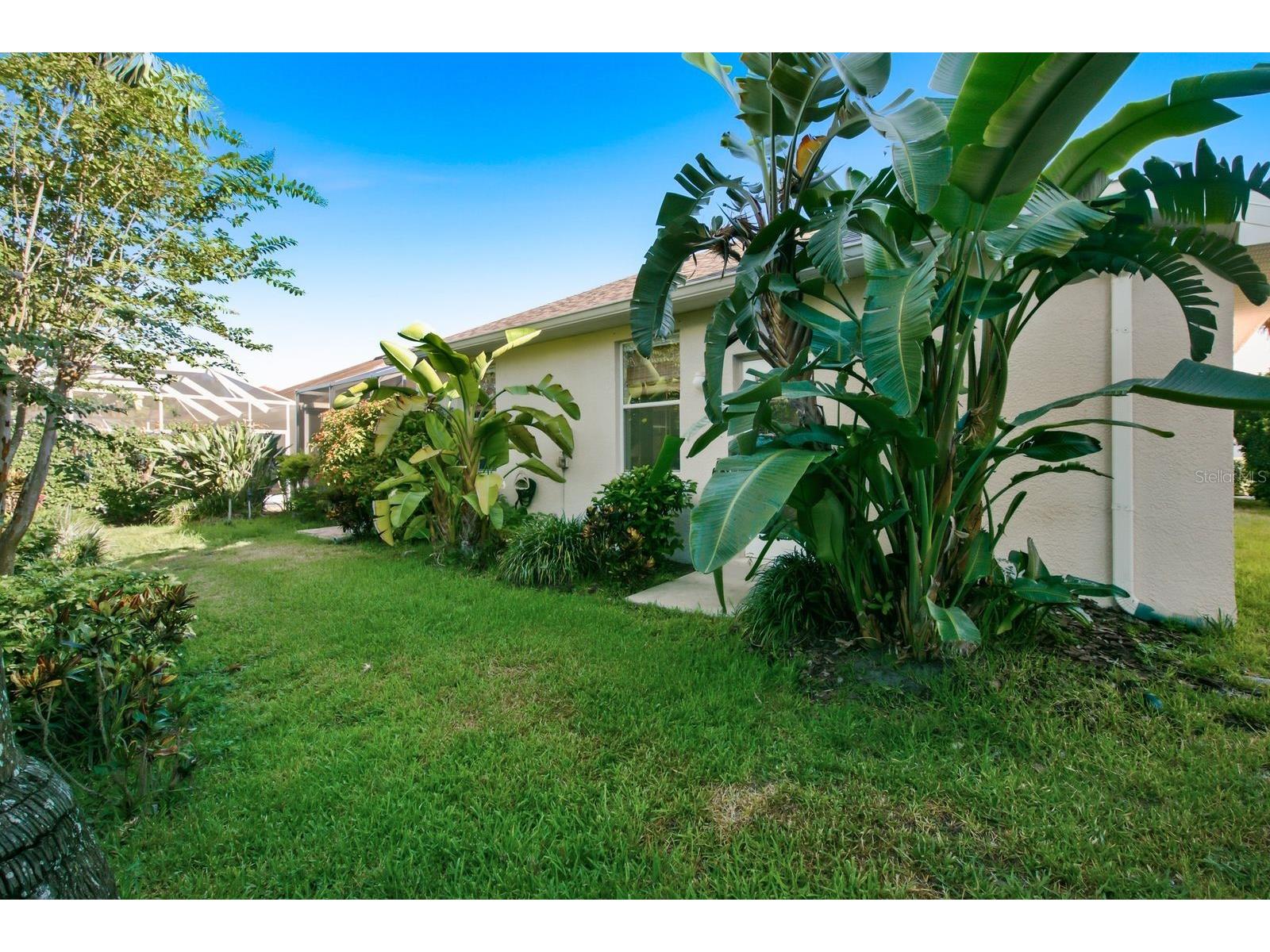 4882 W Breeze Circle Palm Harbor FL 34683 TB8520481 image46