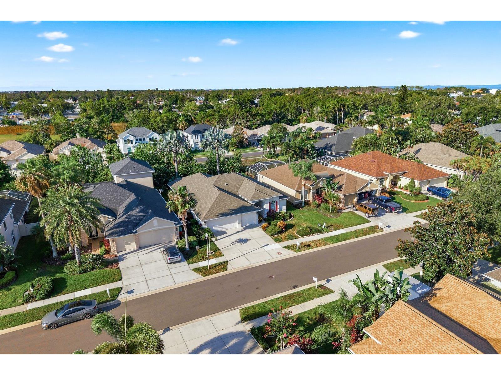 4882 W Breeze Circle Palm Harbor FL 34683 TB8520481 image50