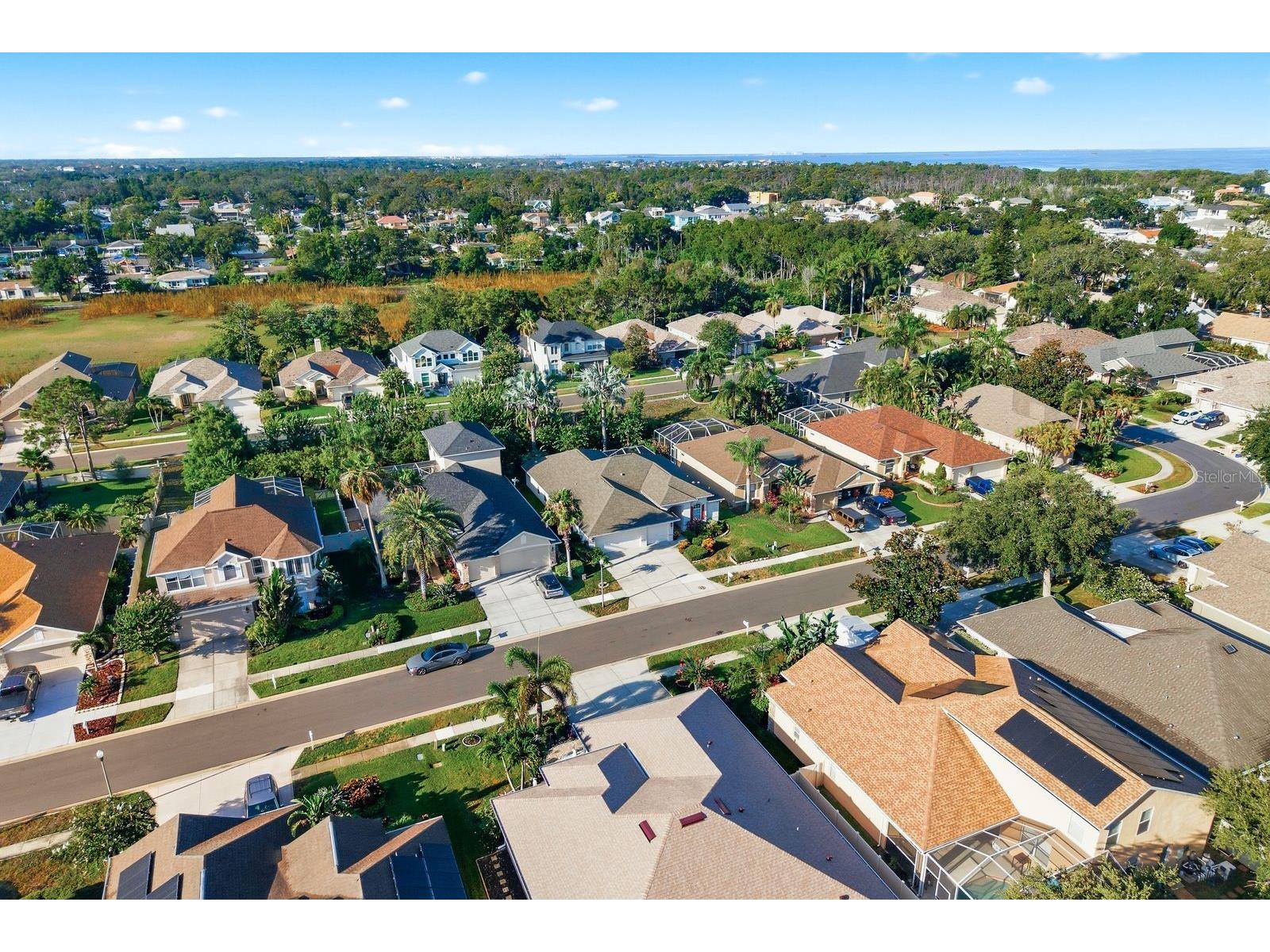 4882 W Breeze Circle Palm Harbor FL 34683 TB8520481 image51