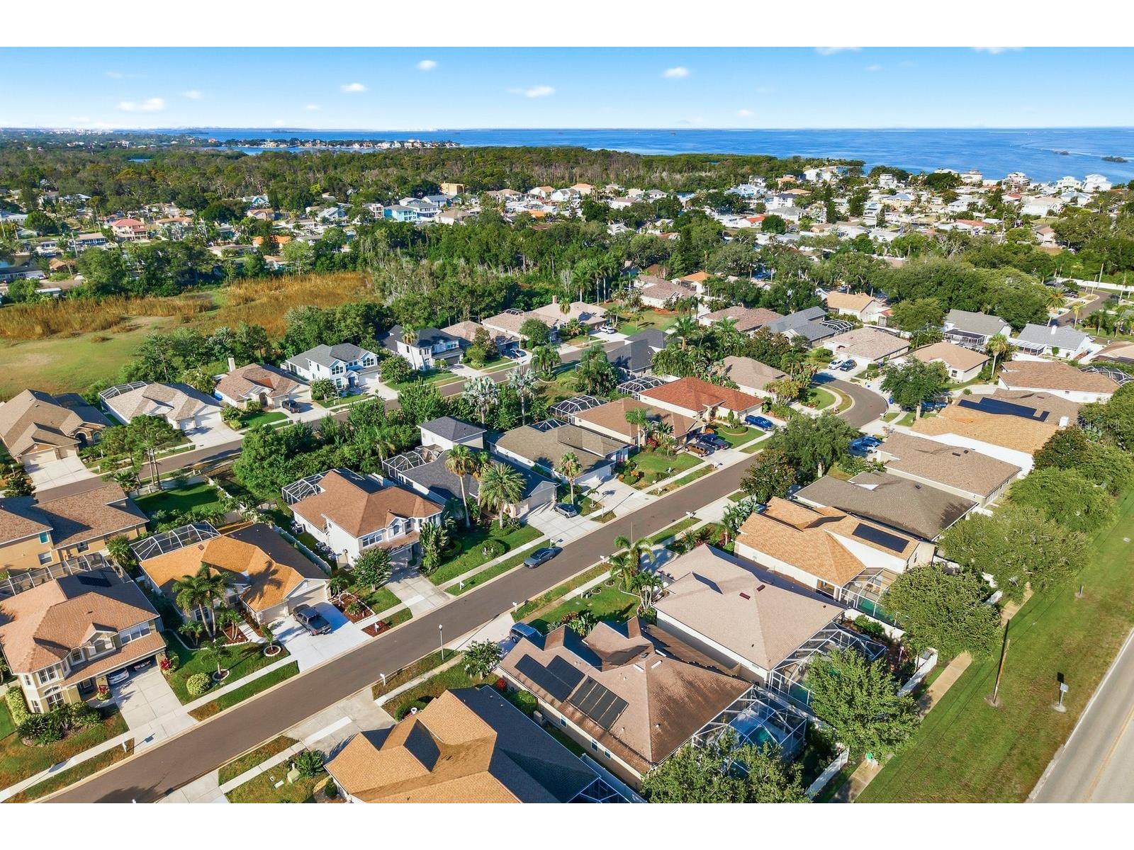 4882 W Breeze Circle Palm Harbor FL 34683 TB8520481 image52
