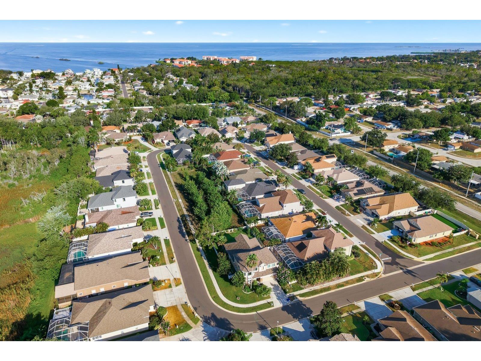 4882 W Breeze Circle Palm Harbor FL 34683 TB8520481 image53