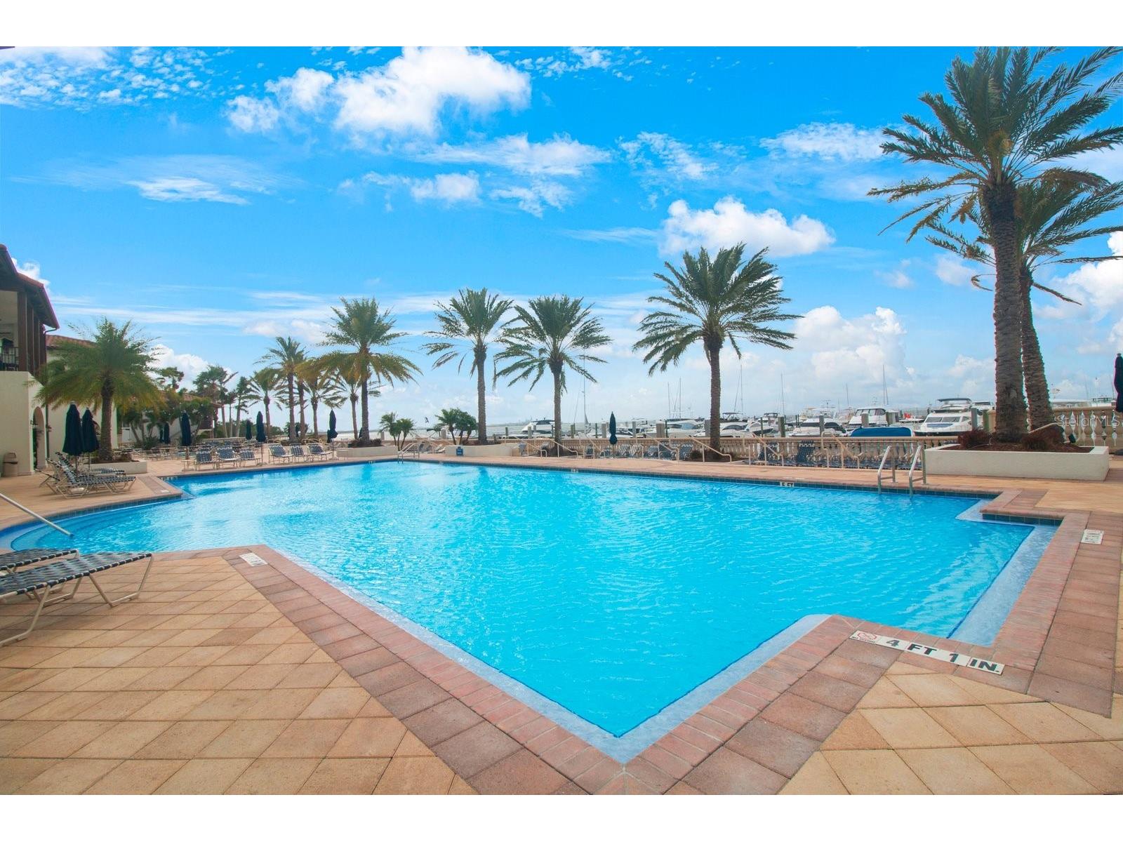 4884 Yacht Club Drive Tampa FL 33616 TB8497678 image3