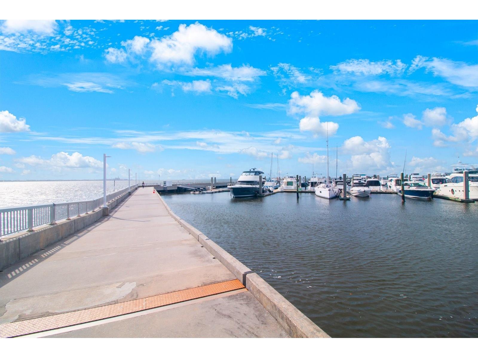 4884 Yacht Club Drive Tampa FL 33616 TB8497678 image39