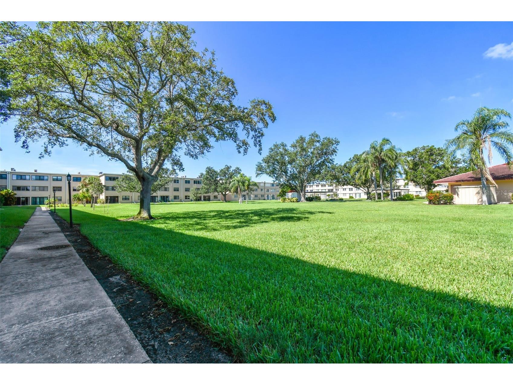 4885 1st Street NE #203 Saint Petersburg FL 33703 TB8464556 image35