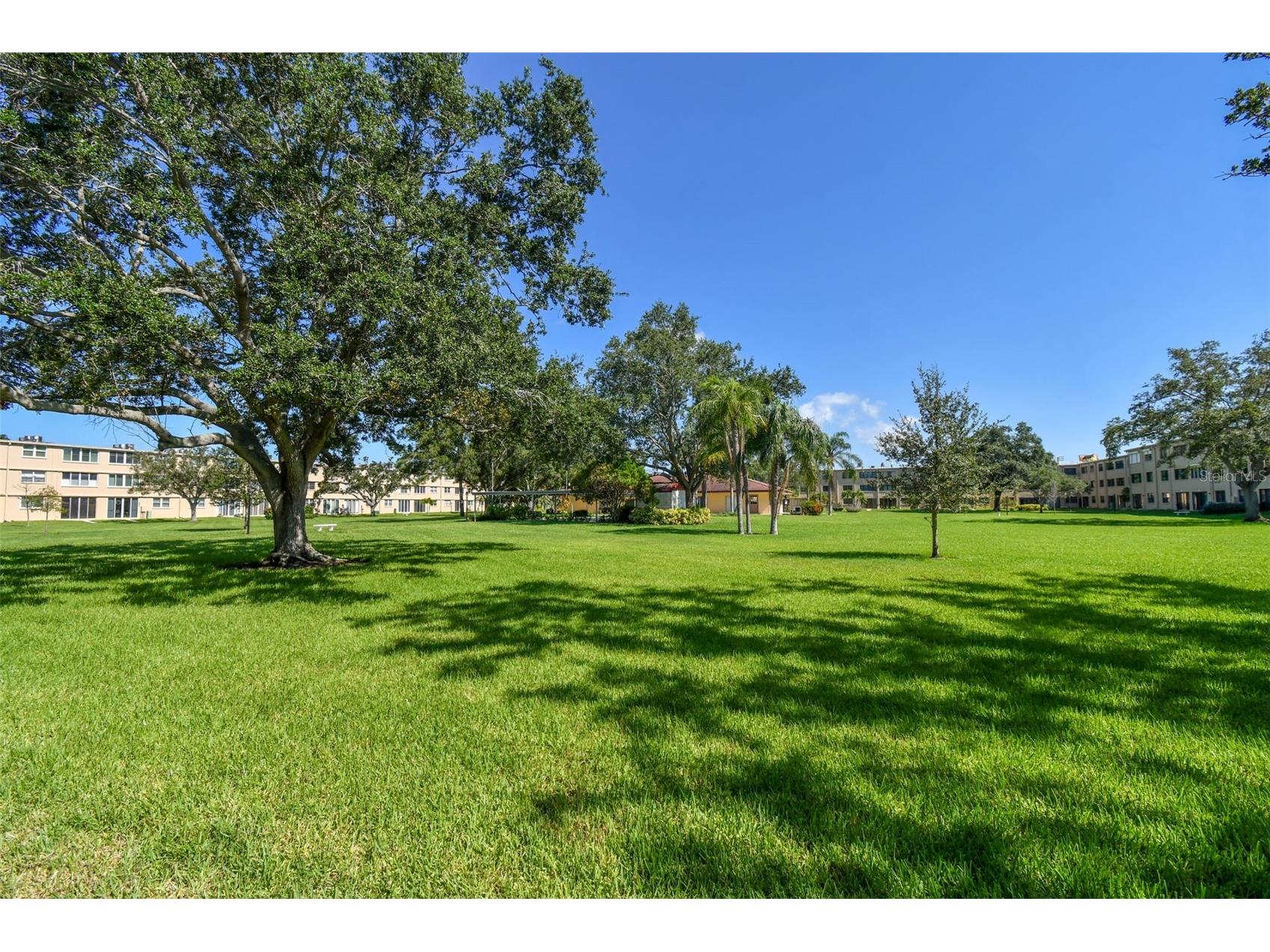 4885 1st Street NE #203 Saint Petersburg FL 33703 TB8464556 image41