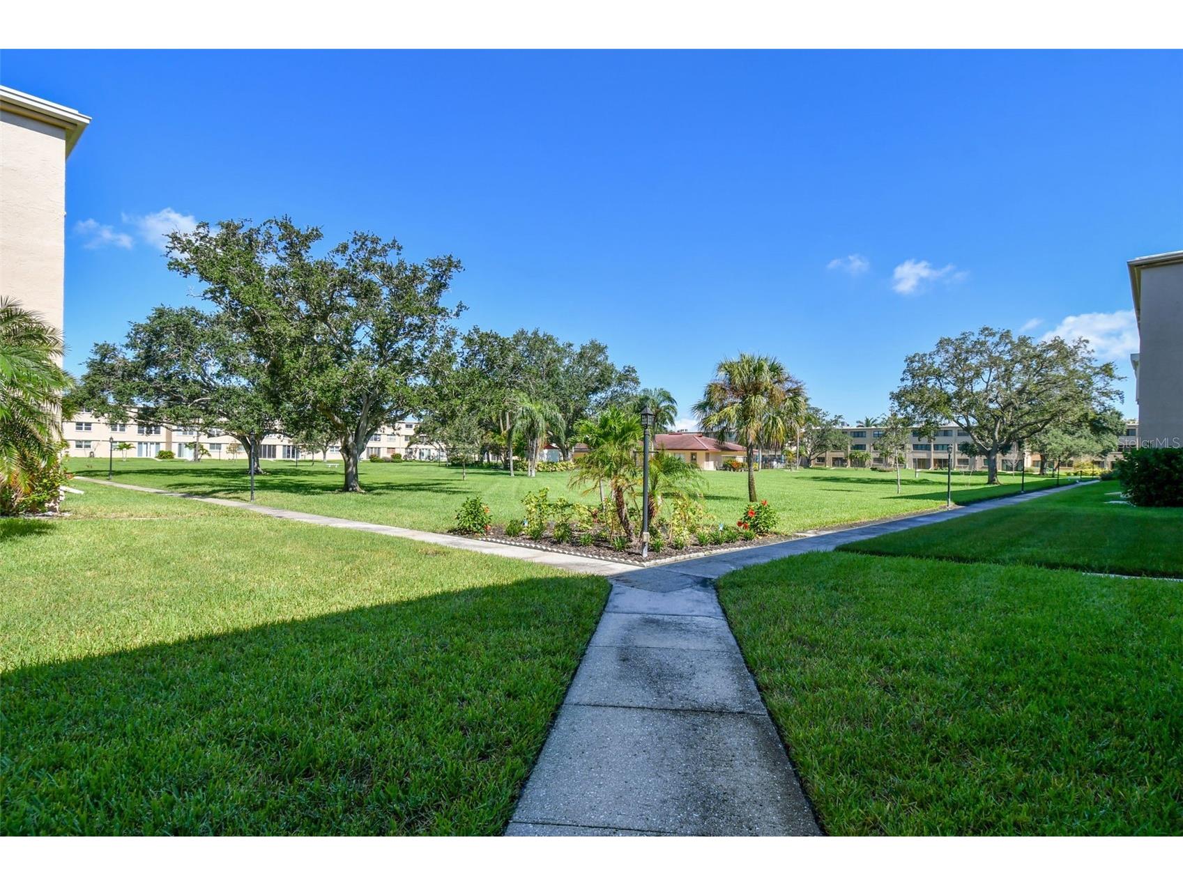 4885 1st Street NE #203 Saint Petersburg FL 33703 TB8464556 image42