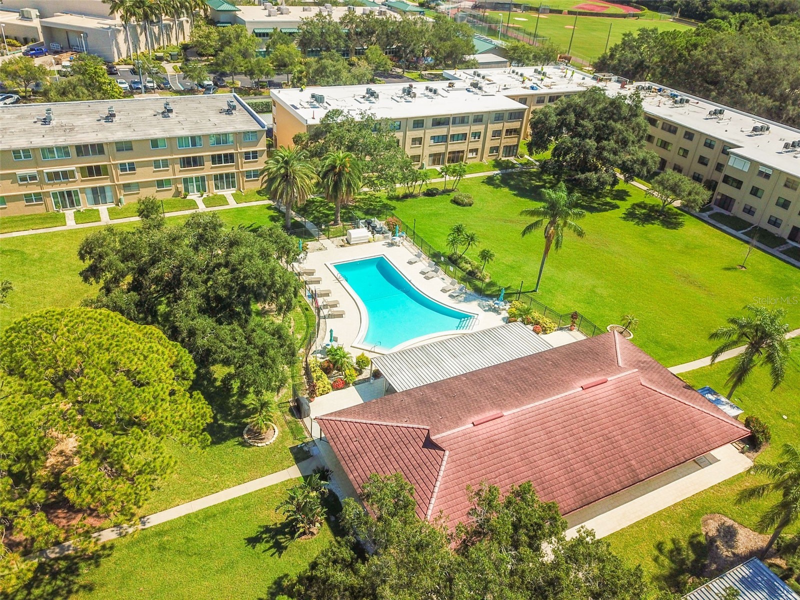 4885 1st Street NE #203 Saint Petersburg FL 33703 TB8464556 image45