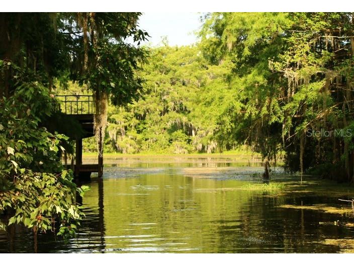 4885 Cr-306a Lake Panasoffkee FL 33538 - WITHLACOOCHEE RIVER O6210082 image1
