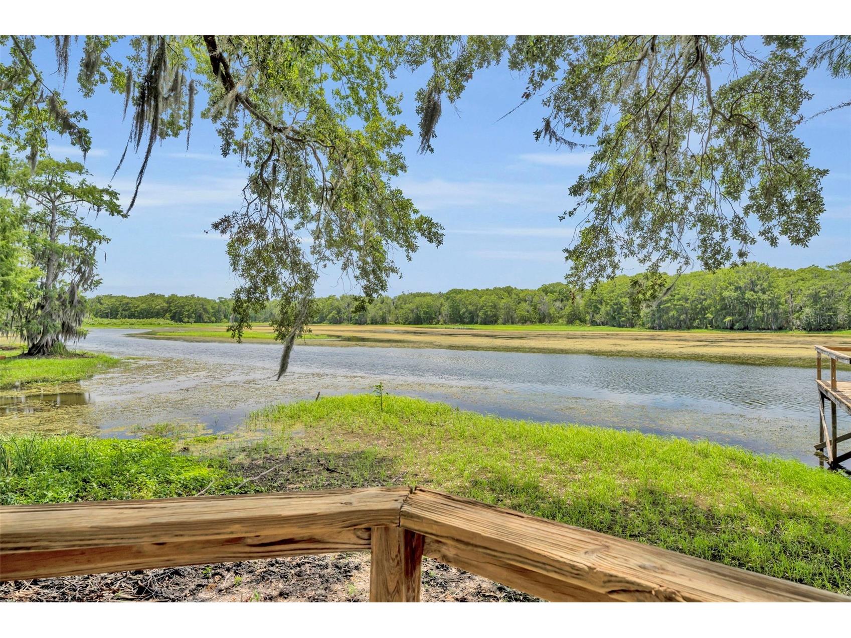 4885 Cr 307 Lake Panasoffkee FL 33538 - LAKE PANASOFFKEE G5113305 image53