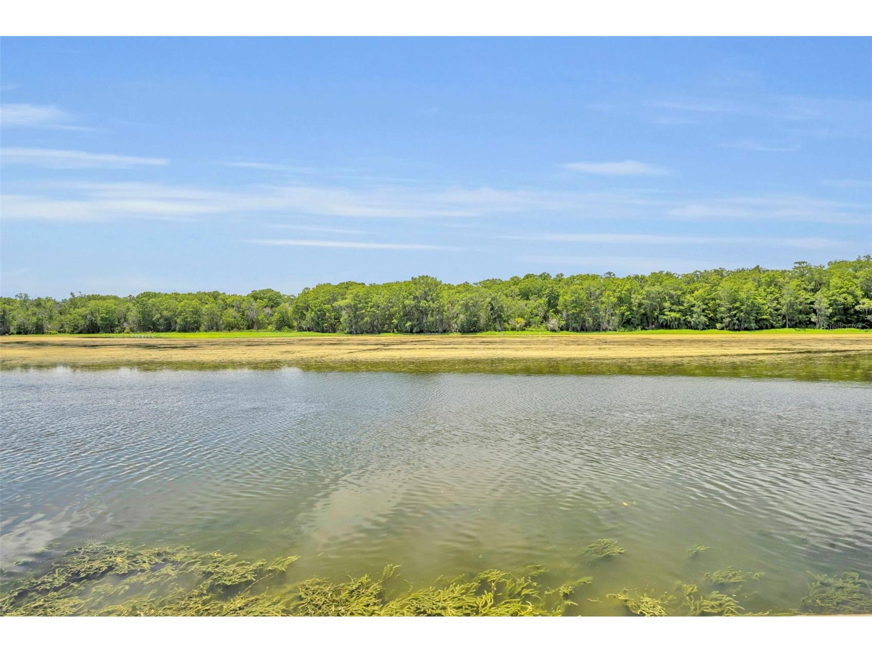 4885 Cr 307 Lake Panasoffkee FL 33538 - LAKE PANASOFFKEE G5113305 image57