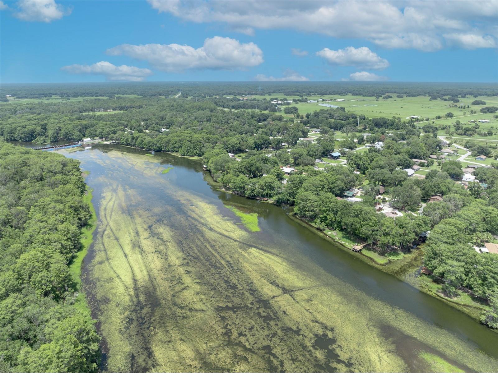 4885 Cr 307 Lake Panasoffkee FL 33538 - LAKE PANASOFFKEE G5113305 image83