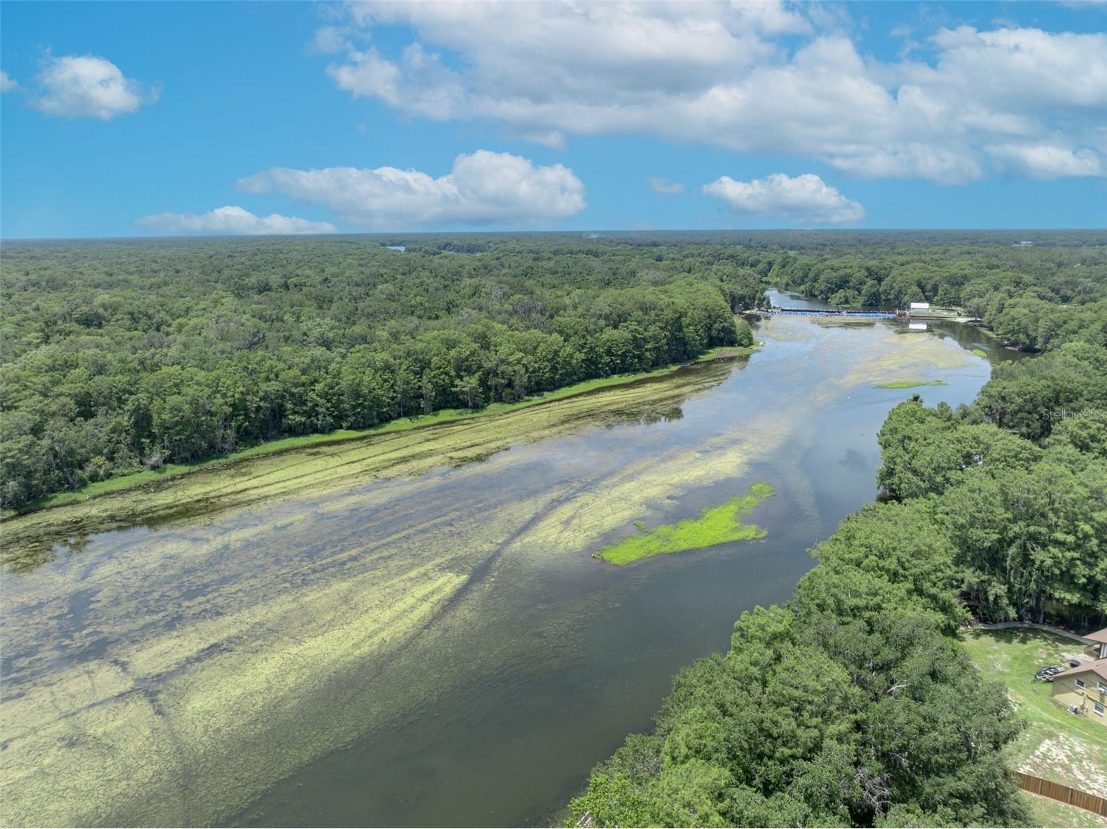 4885 Cr 307 Lake Panasoffkee FL 33538 - LAKE PANASOFFKEE G5113305 image87