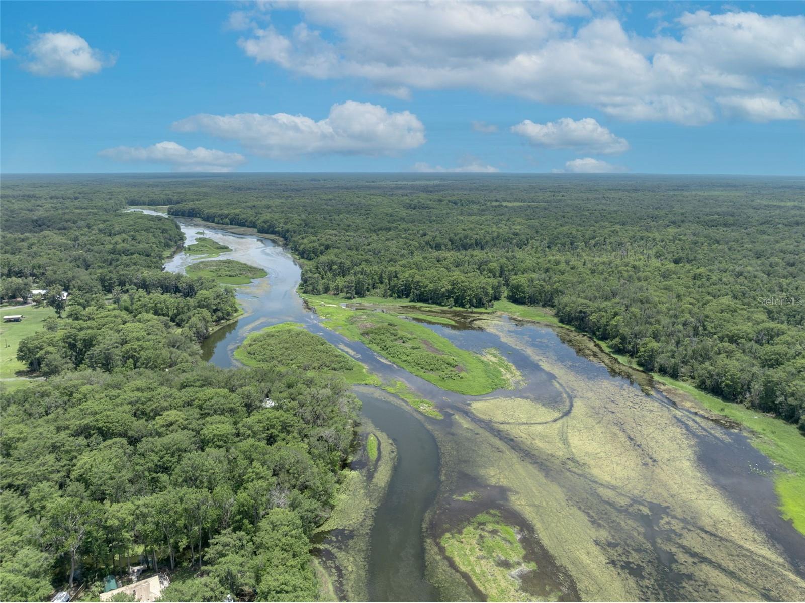 4885 Cr 307 Lake Panasoffkee FL 33538 - LAKE PANASOFFKEE G5113305 image88