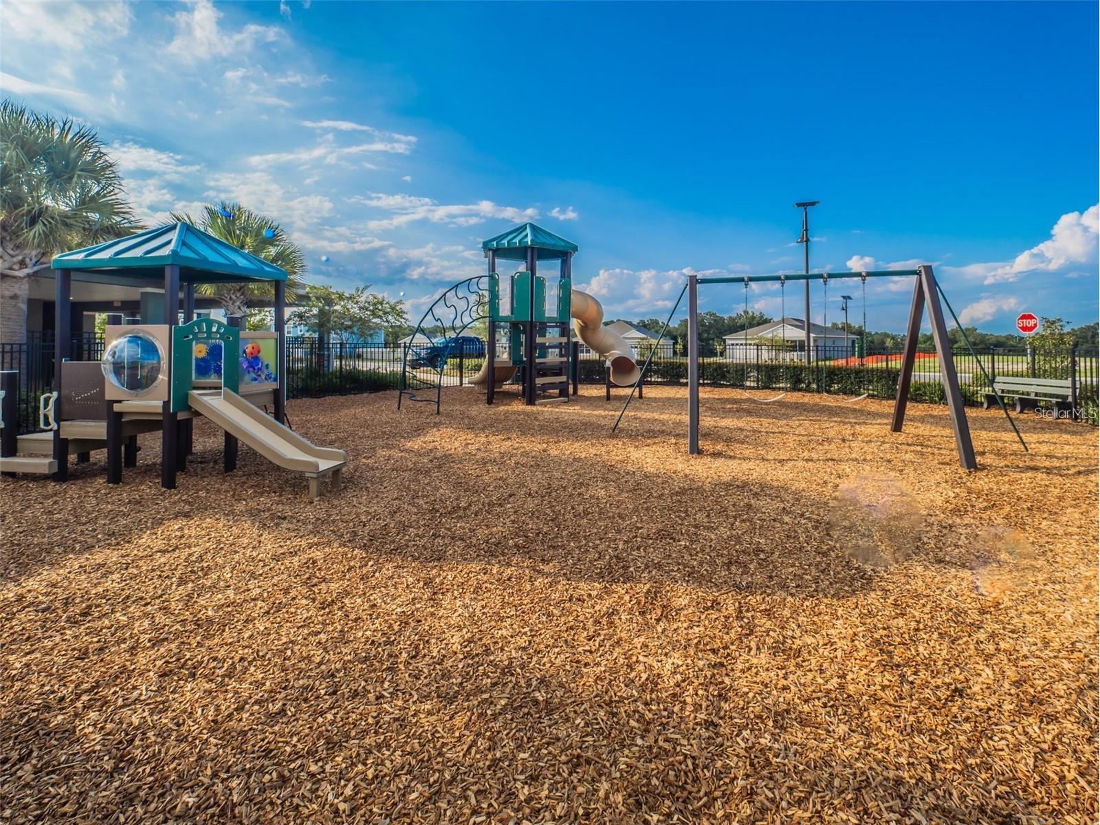 4885 Panga Avenue Mount Dora FL 32757 G5113529 image23