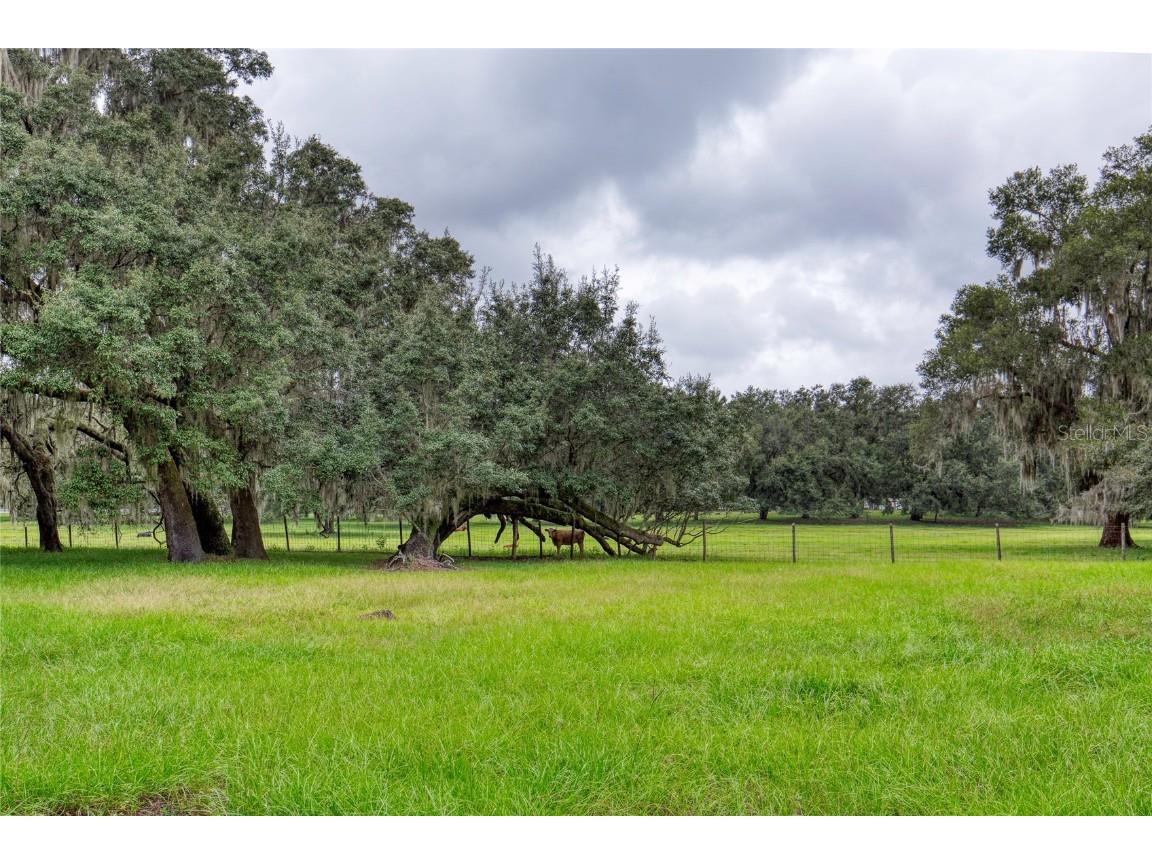 4885 State Road 11 De Leon Springs FL 32130 V4945297 image5