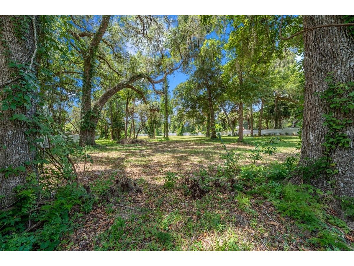 4886 E Highway 316 Citra FL 32113 OM727703 image18