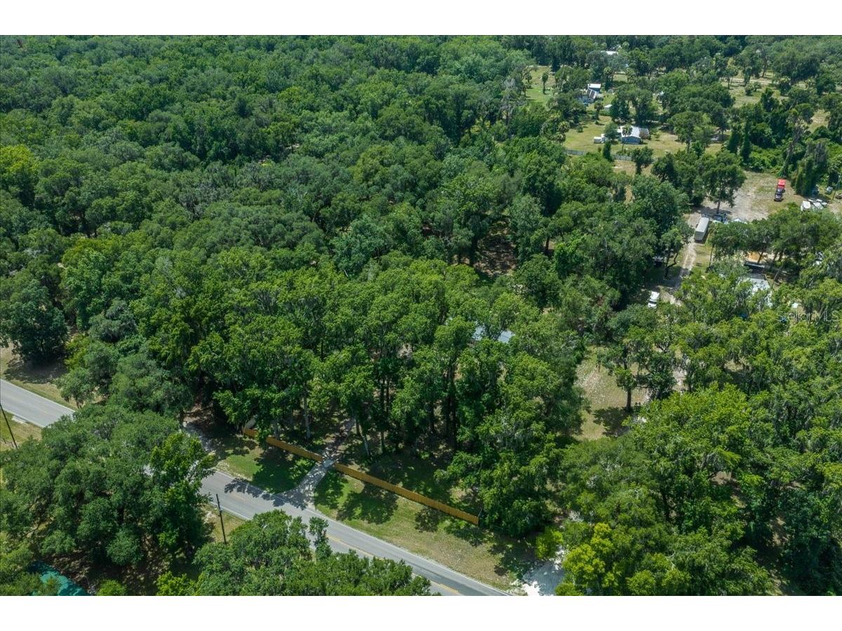 4886 E Highway 316 Citra FL 32113 OM727703 image54