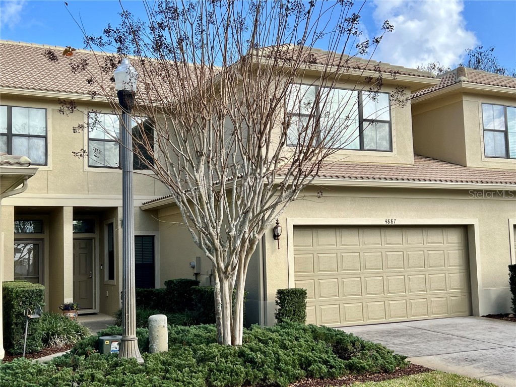 4887 Silverback Court Palm Harbor FL 34684 TB8309100 image1