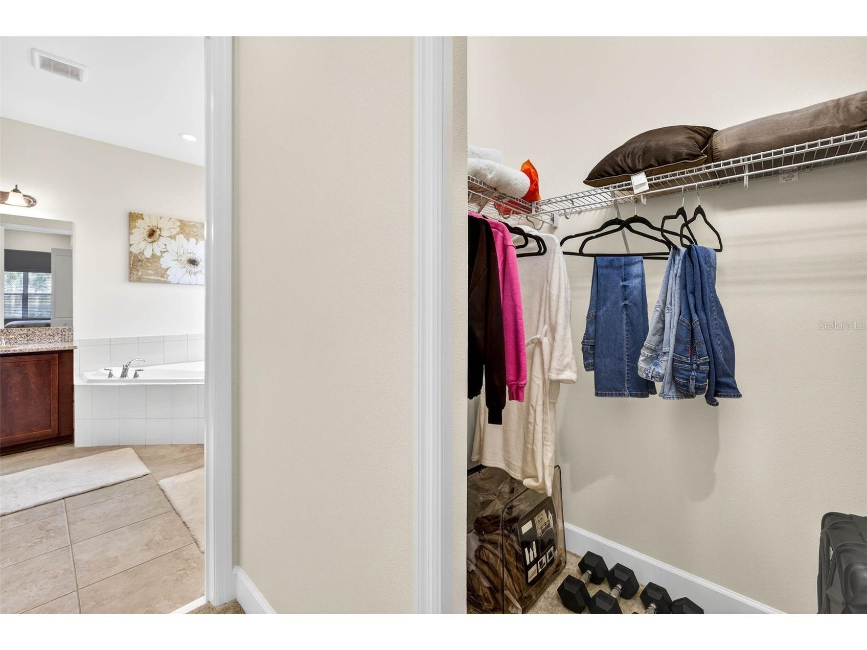4888 Sevilla Shores Drive Wimauma FL 33598 TB8463179 image33