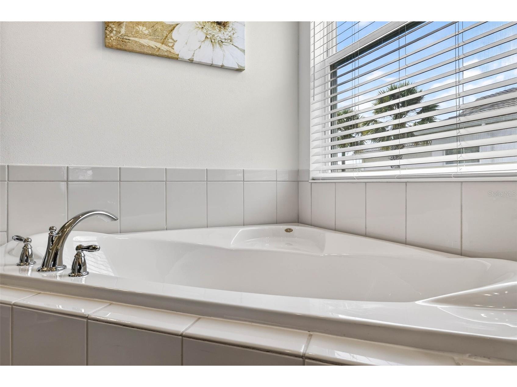 4888 Sevilla Shores Drive Wimauma FL 33598 TB8463179 image38