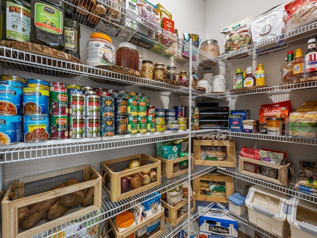 489 Avila Place Howey In The Hills FL 34737 O6360821 image23