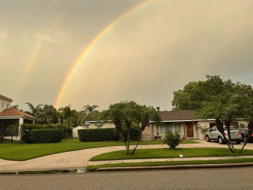 489 Lucerne Avenue Tampa FL 33606 TB8309621 image1