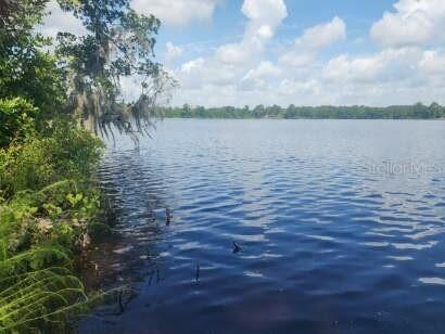 489 Sequoia Drive Ocklawaha FL 32179 OM676603 image1
