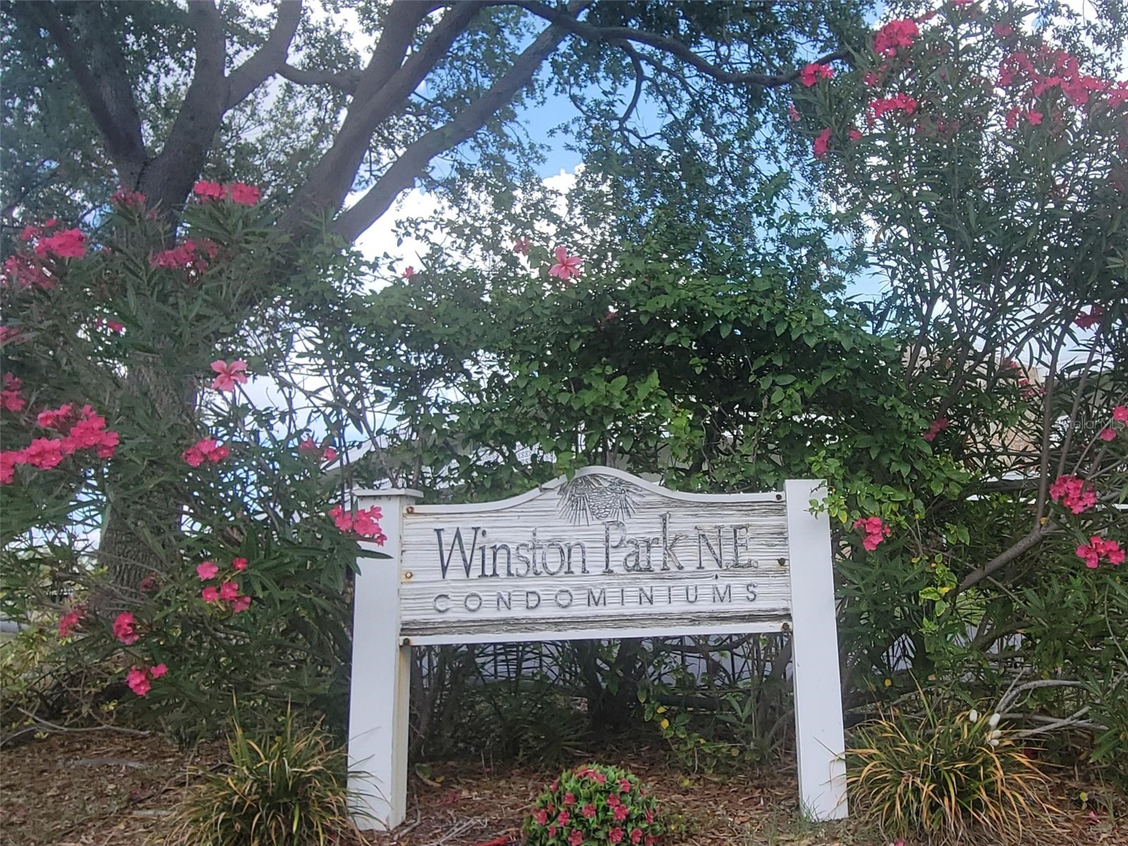 4890 Bay Street NE #336 Saint Petersburg FL 33703 TB8513793 image23