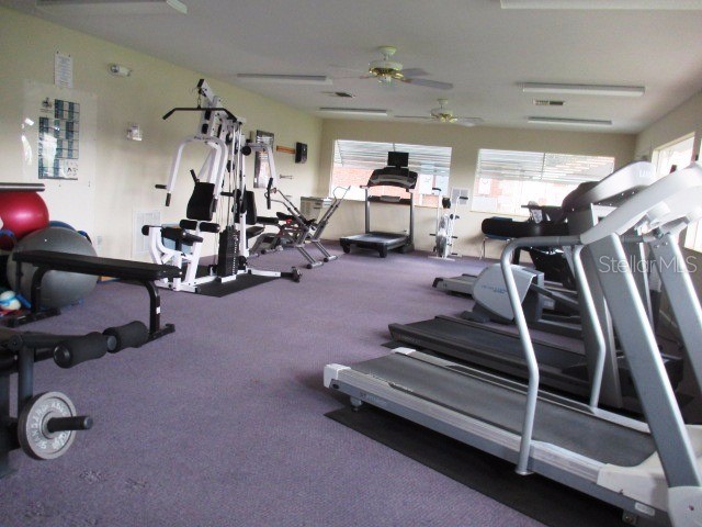 4890 Pleasant Hollow Trail Lakeland FL 33811 GC540779 image36