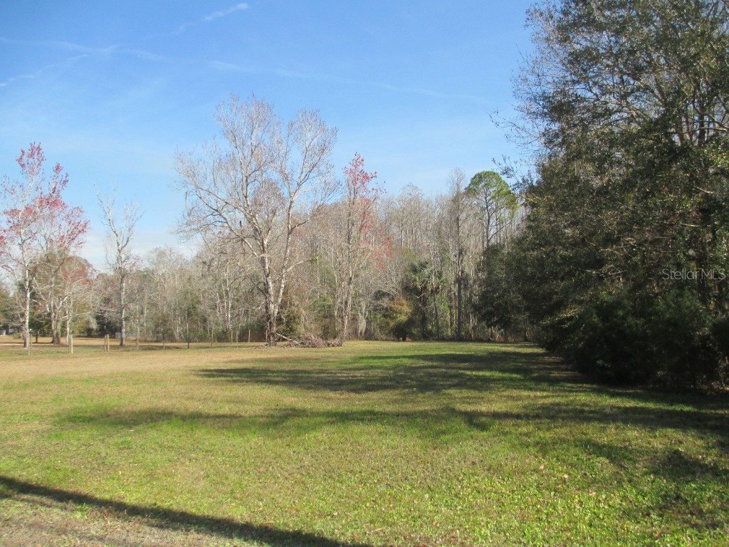 4891 S Morningside Terrace Homosassa FL 34446 OM694248 image8