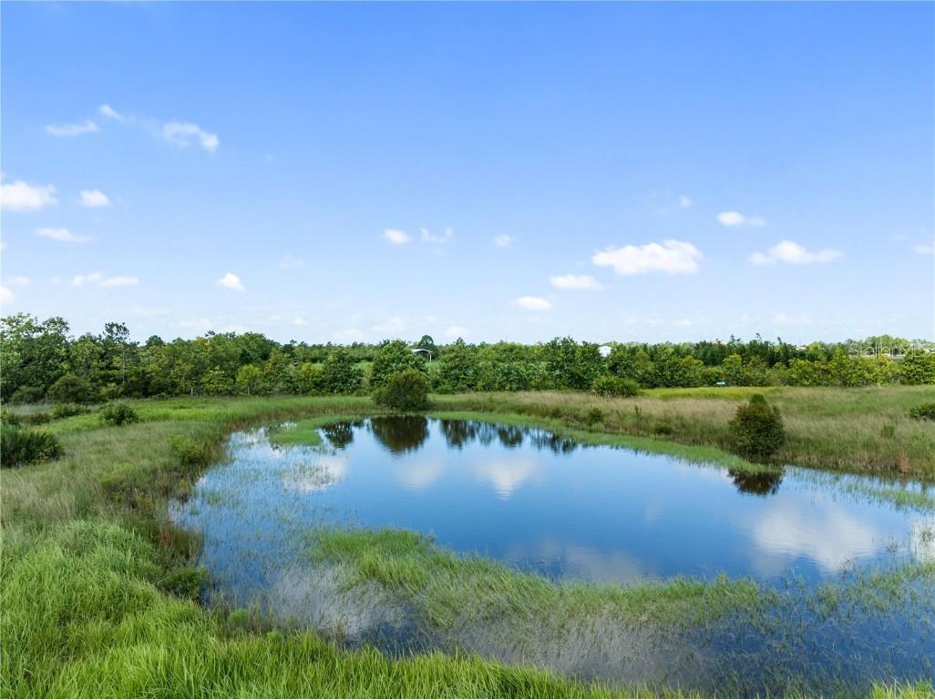 48941 Bermont Road Punta Gorda FL 33982 TB8430060 image11