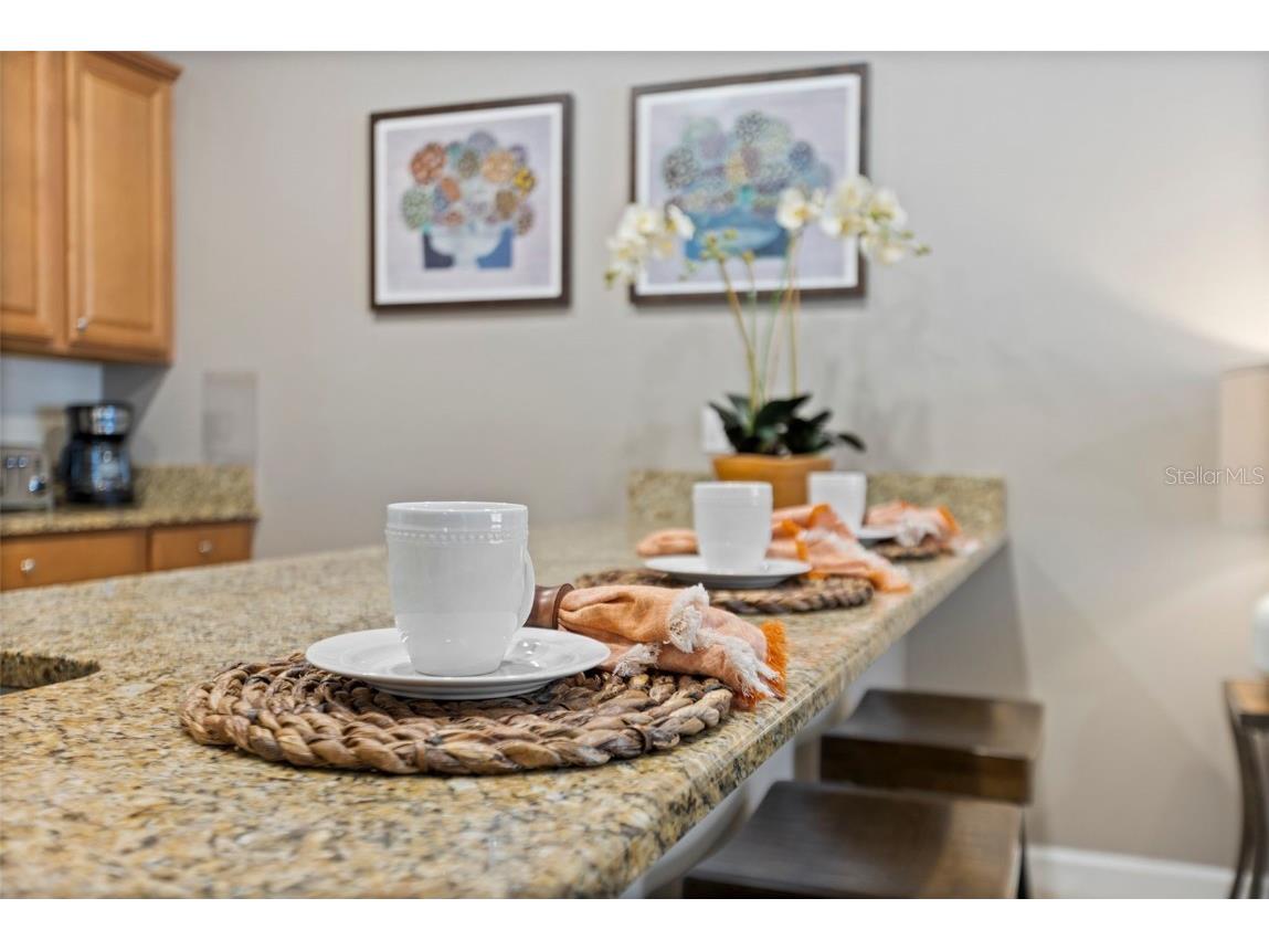 4895 Clock Tower Drive Kissimmee FL 34746 O6318238 image18