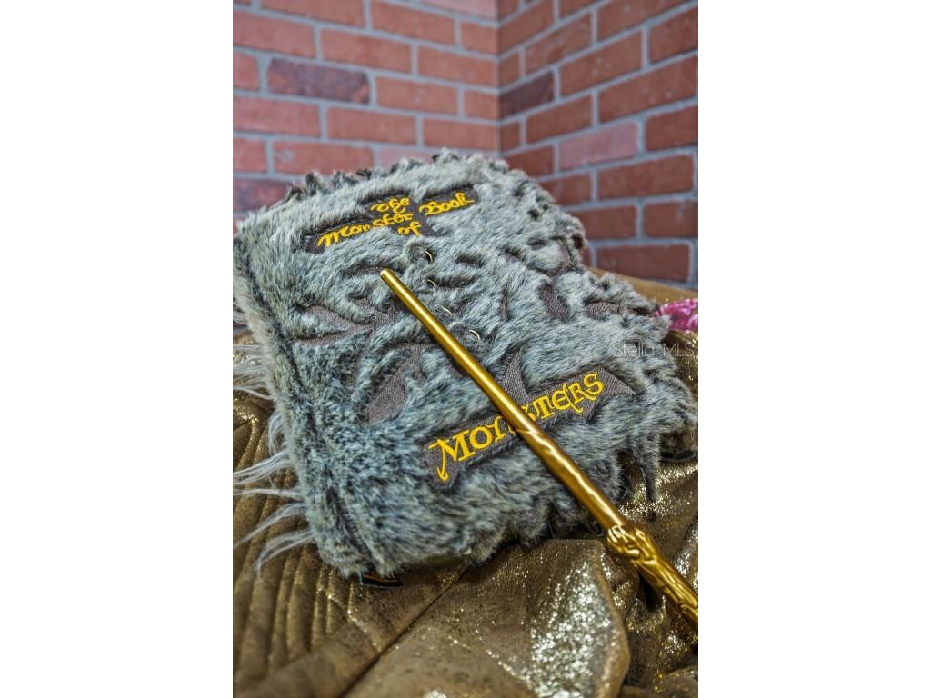 4895 Romeo Circle Kissimmee FL 34746 S5132356 image27