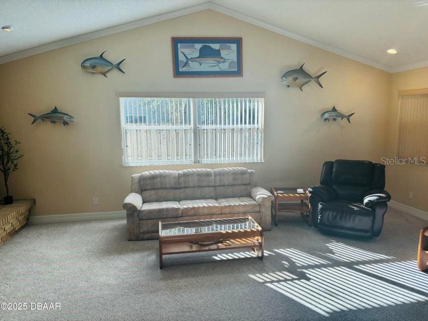 4895 Sailfish Drive Ponce Inlet FL 32127 NS1087615 image9