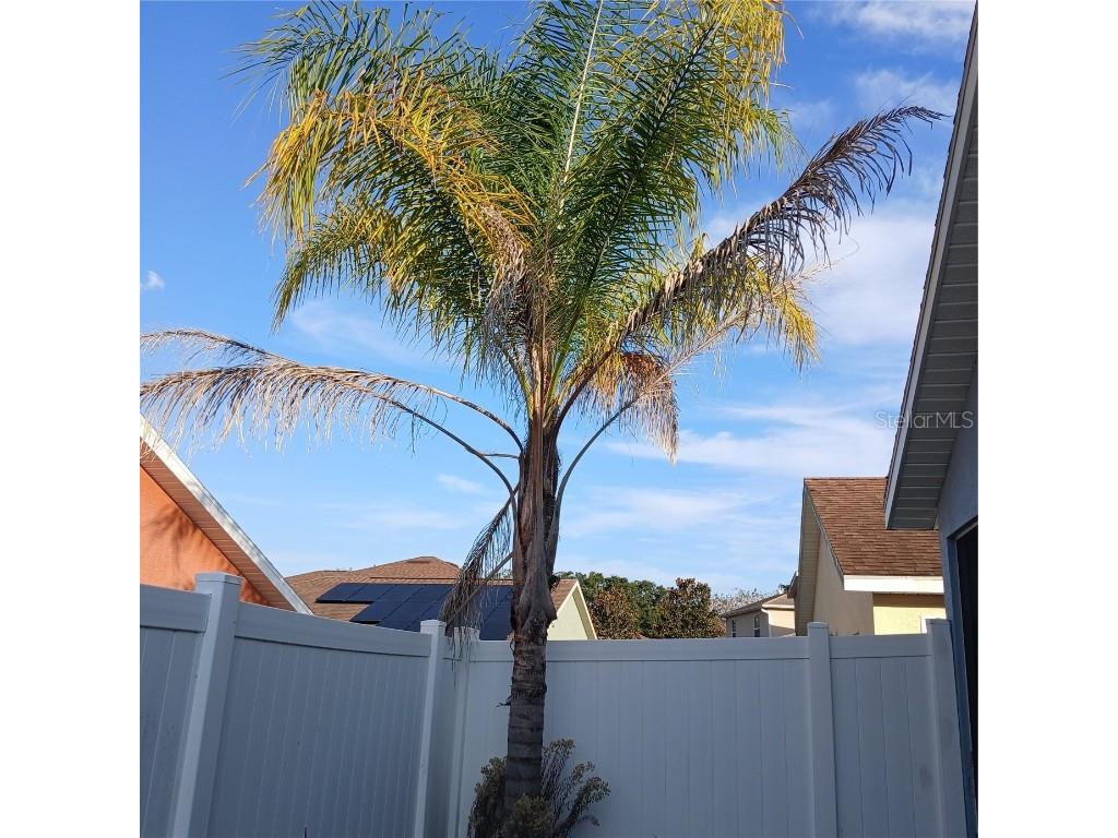 4896 NE 123rd Lane Oxford FL 34484 OM714455 image38