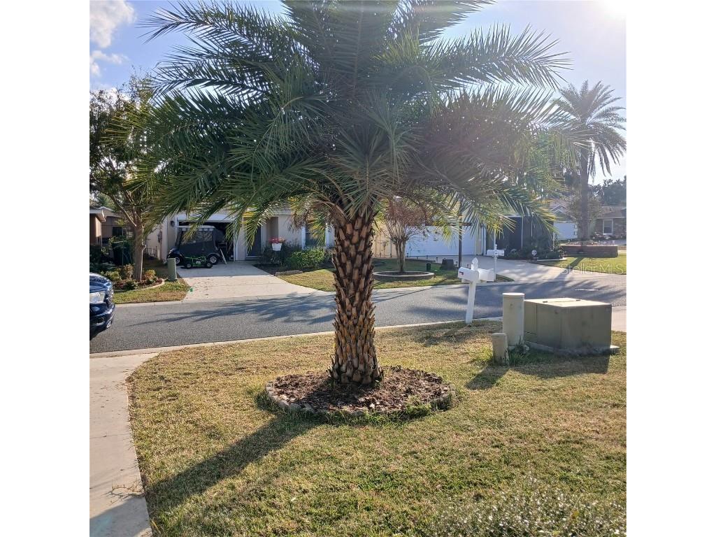 4896 NE 123rd Lane Oxford FL 34484 OM714455 image55