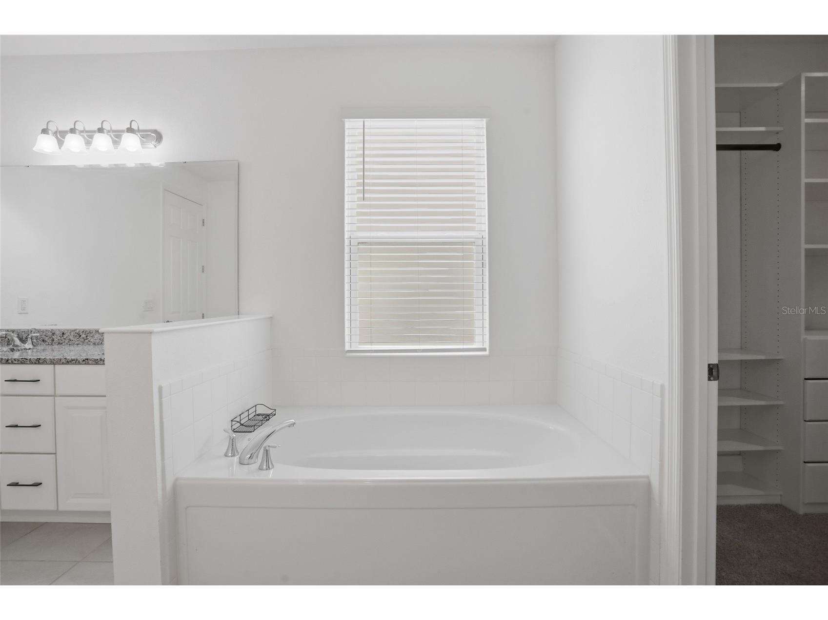 4897 Gilded Jewel Drive Mount Dora FL 32757 S5148789 image15