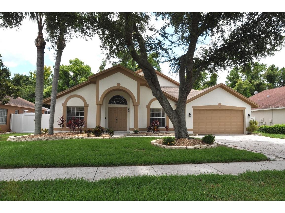 4898 Eagle Cove South Drive Palm Harbor FL 34685 TB8300690 image1