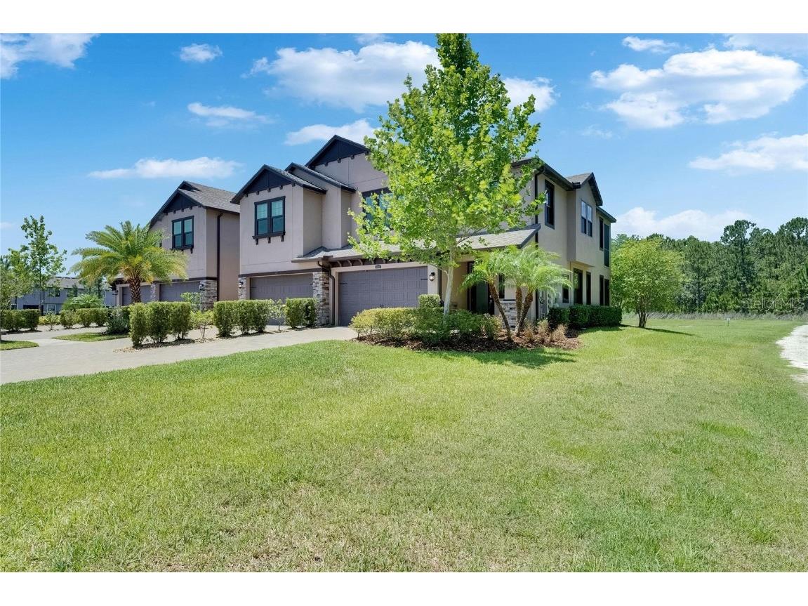 4899 Isola Court Wesley Chapel FL 33543 TB8442780 image12