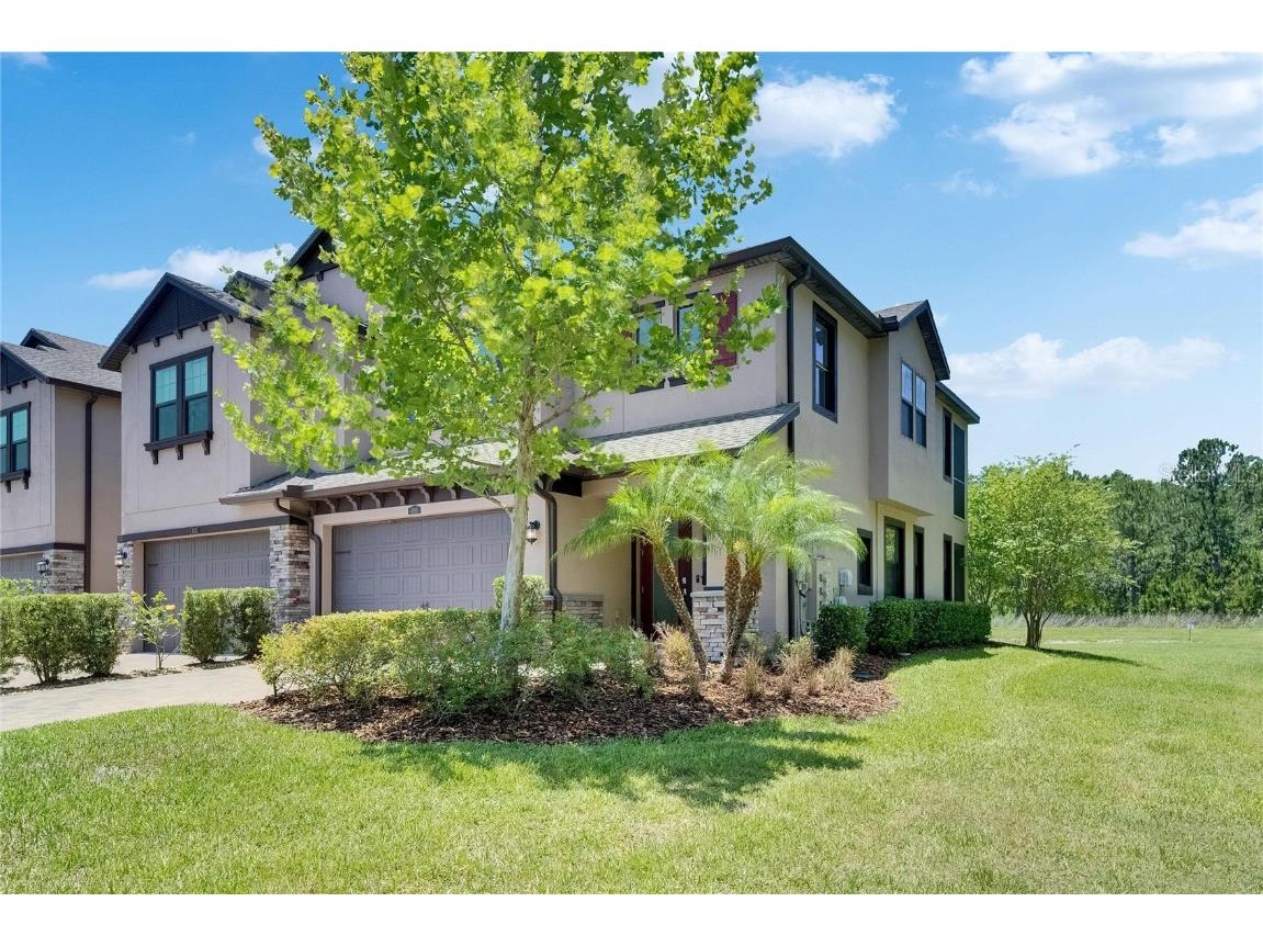 4899 Isola Court Wesley Chapel FL 33543 TB8442780 image17