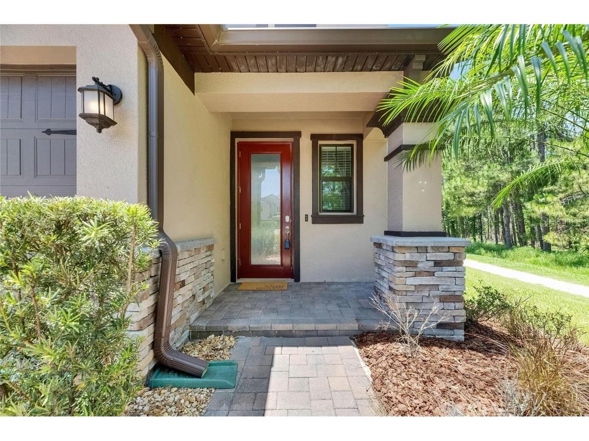 4899 Isola Court Wesley Chapel FL 33543 TB8442780 image20