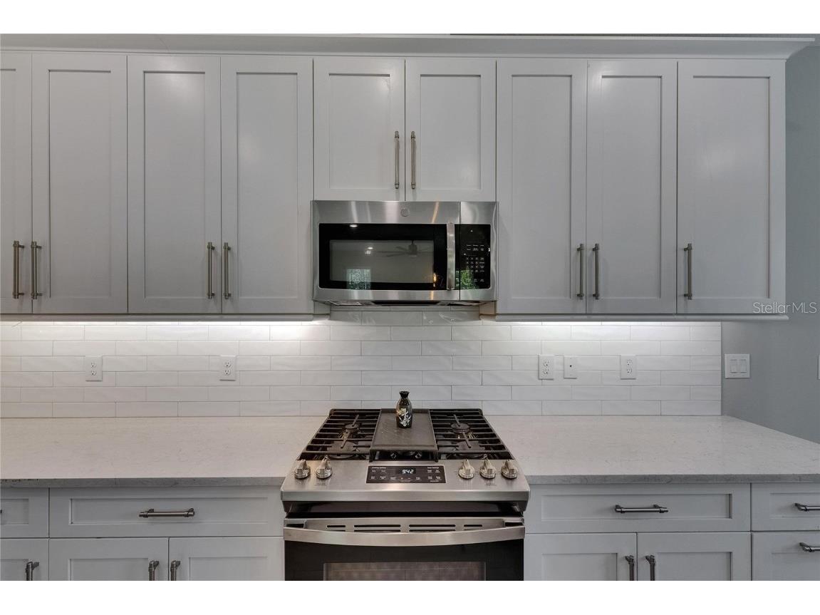 4899 Isola Court Wesley Chapel FL 33543 TB8442780 image36