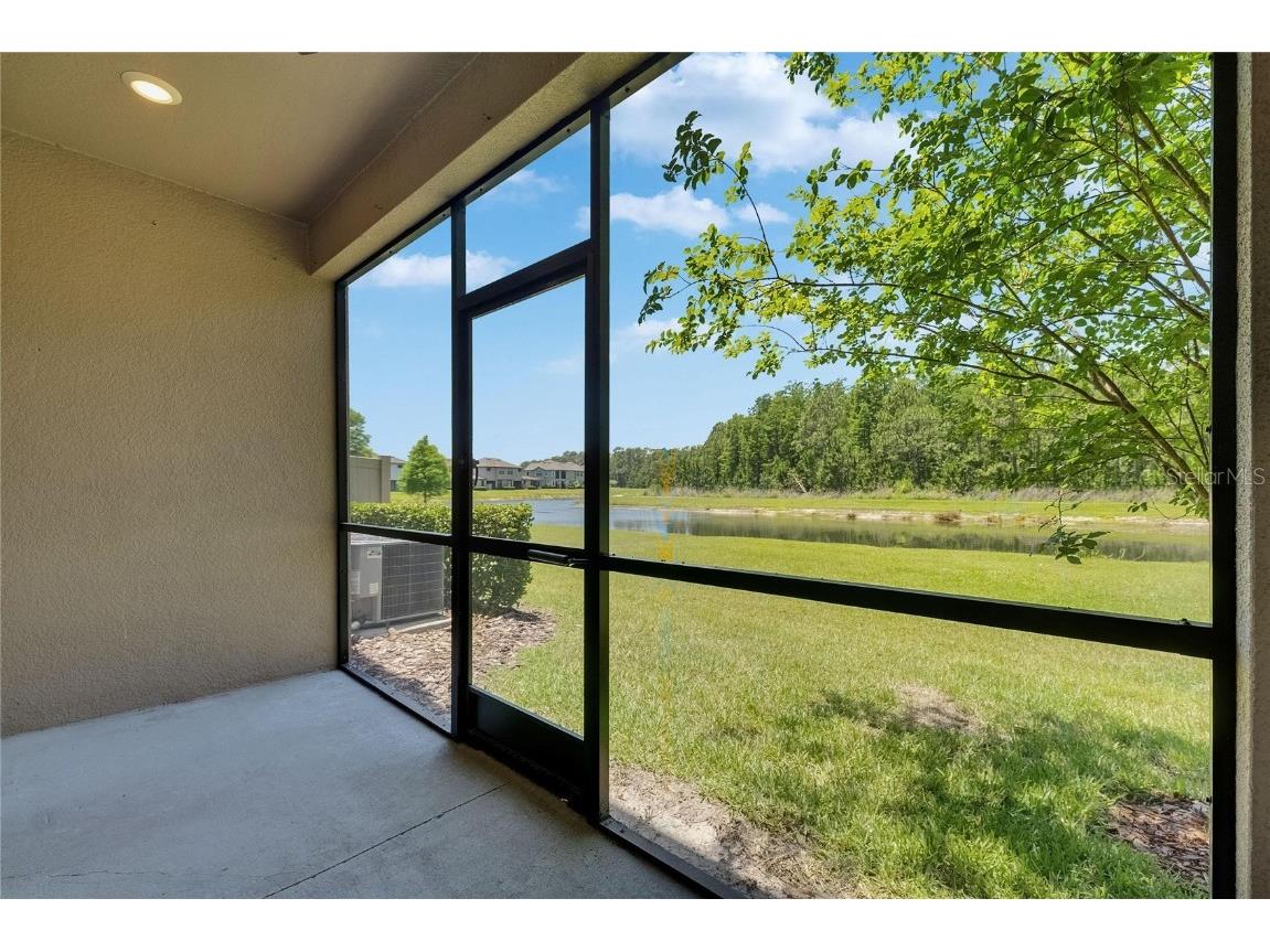 4899 Isola Court Wesley Chapel FL 33543 TB8442780 image46