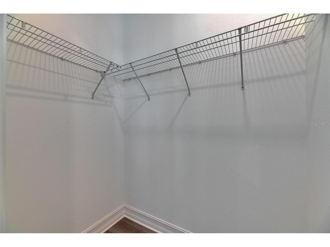 4899 Isola Court Wesley Chapel FL 33543 TB8442780 image51