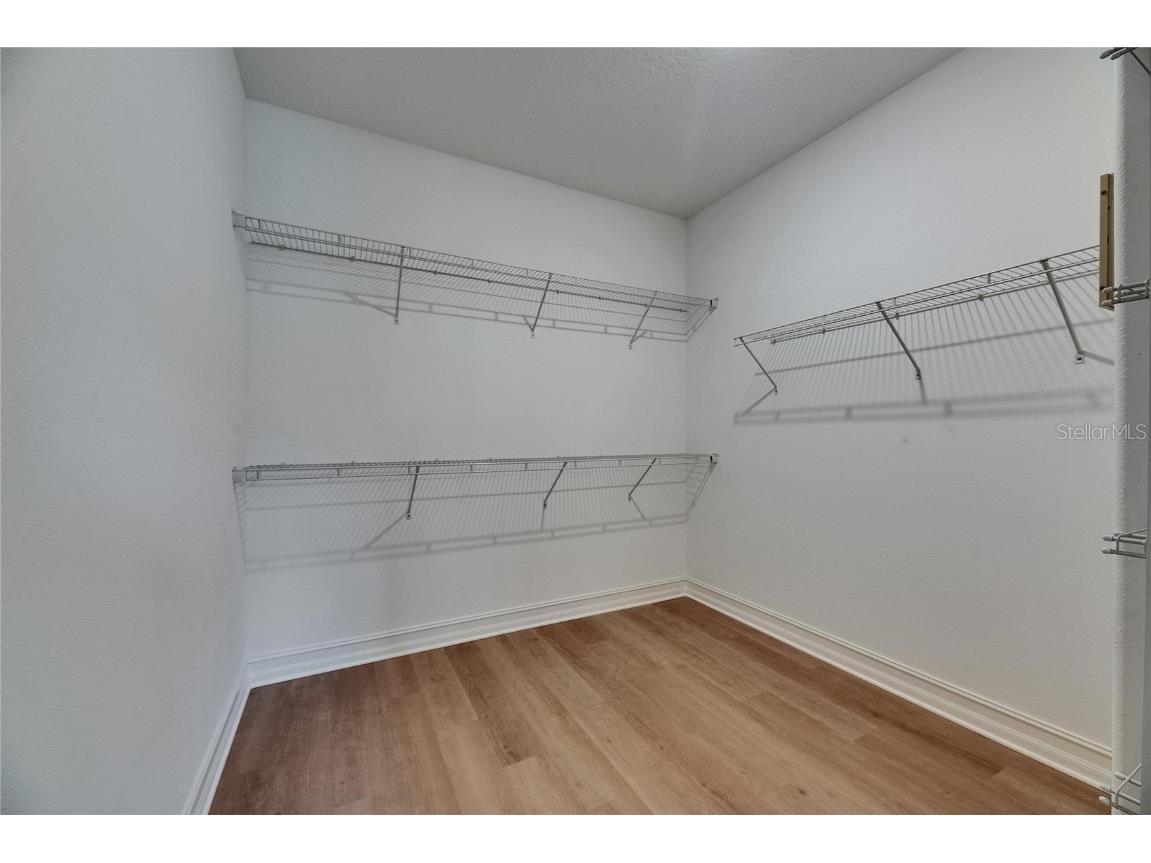 4899 Isola Court Wesley Chapel FL 33543 TB8442780 image60