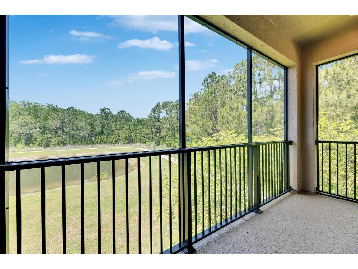 4899 Isola Court Wesley Chapel FL 33543 TB8442780 image64